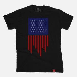 Flag T-Shirt - USA / Black